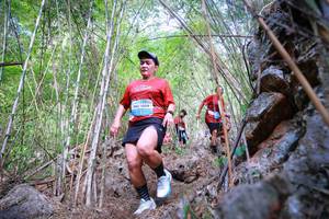 BIB: 1009
                            <button type="button" onclick="openModal(22088027)" class="btn btn-primary btn-sm float-right btn-popup" data-toggle="modal" data-target=".modal-high-quality">
                        <i class="fas fa-shopping-cart"></i> Add to Cart
                    </button>
                                            <button type="button" onclick="isThisMe(22088027, true)" class="btn btn-success btn-sm float-right btn-popup btn-isme hidden" data-toggle="tooltip" data-placement="bottom" title="นี่คือรูปของคุณใช่ไหม คลิกที่นี่เพื่อเอาเข้าอัลบั้ม">
                        <i class="fas fa-plus"></i> Add to album
                    </button>
                    <button type="button" onclick="isThisMe(22088027, false)" class="btn btn-warning btn-sm float-right btn-popup btn-isnotme hidden">
                        <i class="fas fa-ban"></i> Remove from album
                    </button>