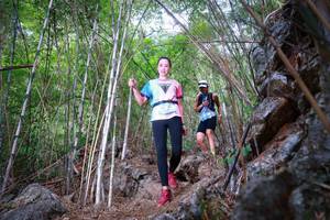 BIB: 
                            <button type="button" onclick="openModal(22072775)" class="btn btn-primary btn-sm float-right btn-popup" data-toggle="modal" data-target=".modal-high-quality">
                        <i class="fas fa-shopping-cart"></i> Add to Cart
                    </button>
                                            <button type="button" onclick="isThisMe(22072775, true)" class="btn btn-success btn-sm float-right btn-popup btn-isme hidden" data-toggle="tooltip" data-placement="bottom" title="นี่คือรูปของคุณใช่ไหม คลิกที่นี่เพื่อเอาเข้าอัลบั้ม">
                        <i class="fas fa-plus"></i> Add to album
                    </button>
                    <button type="button" onclick="isThisMe(22072775, false)" class="btn btn-warning btn-sm float-right btn-popup btn-isnotme hidden">
                        <i class="fas fa-ban"></i> Remove from album
                    </button>