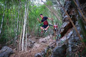 BIB: 
                            <button type="button" onclick="openModal(22086729)" class="btn btn-primary btn-sm float-right btn-popup" data-toggle="modal" data-target=".modal-high-quality">
                        <i class="fas fa-shopping-cart"></i> Add to Cart
                    </button>
                                            <button type="button" onclick="isThisMe(22086729, true)" class="btn btn-success btn-sm float-right btn-popup btn-isme hidden" data-toggle="tooltip" data-placement="bottom" title="นี่คือรูปของคุณใช่ไหม คลิกที่นี่เพื่อเอาเข้าอัลบั้ม">
                        <i class="fas fa-plus"></i> Add to album
                    </button>
                    <button type="button" onclick="isThisMe(22086729, false)" class="btn btn-warning btn-sm float-right btn-popup btn-isnotme hidden">
                        <i class="fas fa-ban"></i> Remove from album
                    </button>