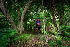 BIB: 
                            <button type="button" onclick="openModal(22042169)" class="btn btn-primary btn-sm float-right btn-popup" data-toggle="modal" data-target=".modal-high-quality">
                        <i class="fas fa-shopping-cart"></i> Add to Cart
                    </button>
                                            <button type="button" onclick="isThisMe(22042169, true)" class="btn btn-success btn-sm float-right btn-popup btn-isme hidden" data-toggle="tooltip" data-placement="bottom" title="นี่คือรูปของคุณใช่ไหม คลิกที่นี่เพื่อเอาเข้าอัลบั้ม">
                        <i class="fas fa-plus"></i> Add to album
                    </button>
                    <button type="button" onclick="isThisMe(22042169, false)" class="btn btn-warning btn-sm float-right btn-popup btn-isnotme hidden">
                        <i class="fas fa-ban"></i> Remove from album
                    </button>