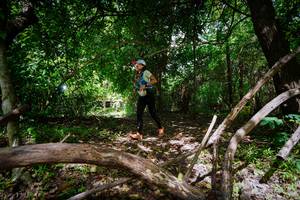 BIB: 
                            <button type="button" onclick="openModal(22045704)" class="btn btn-primary btn-sm float-right btn-popup" data-toggle="modal" data-target=".modal-high-quality">
                        <i class="fas fa-shopping-cart"></i> Add to Cart
                    </button>
                                            <button type="button" onclick="isThisMe(22045704, true)" class="btn btn-success btn-sm float-right btn-popup btn-isme hidden" data-toggle="tooltip" data-placement="bottom" title="นี่คือรูปของคุณใช่ไหม คลิกที่นี่เพื่อเอาเข้าอัลบั้ม">
                        <i class="fas fa-plus"></i> Add to album
                    </button>
                    <button type="button" onclick="isThisMe(22045704, false)" class="btn btn-warning btn-sm float-right btn-popup btn-isnotme hidden">
                        <i class="fas fa-ban"></i> Remove from album
                    </button>