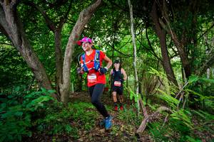 BIB: 
                            <button type="button" onclick="openModal(22020657)" class="btn btn-primary btn-sm float-right btn-popup" data-toggle="modal" data-target=".modal-high-quality">
                        <i class="fas fa-shopping-cart"></i> Add to Cart
                    </button>
                                            <button type="button" onclick="isThisMe(22020657, true)" class="btn btn-success btn-sm float-right btn-popup btn-isme hidden" data-toggle="tooltip" data-placement="bottom" title="นี่คือรูปของคุณใช่ไหม คลิกที่นี่เพื่อเอาเข้าอัลบั้ม">
                        <i class="fas fa-plus"></i> Add to album
                    </button>
                    <button type="button" onclick="isThisMe(22020657, false)" class="btn btn-warning btn-sm float-right btn-popup btn-isnotme hidden">
                        <i class="fas fa-ban"></i> Remove from album
                    </button>