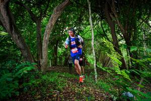 BIB: 
                            <button type="button" onclick="openModal(22020308)" class="btn btn-primary btn-sm float-right btn-popup" data-toggle="modal" data-target=".modal-high-quality">
                        <i class="fas fa-shopping-cart"></i> Add to Cart
                    </button>
                                            <button type="button" onclick="isThisMe(22020308, true)" class="btn btn-success btn-sm float-right btn-popup btn-isme hidden" data-toggle="tooltip" data-placement="bottom" title="นี่คือรูปของคุณใช่ไหม คลิกที่นี่เพื่อเอาเข้าอัลบั้ม">
                        <i class="fas fa-plus"></i> Add to album
                    </button>
                    <button type="button" onclick="isThisMe(22020308, false)" class="btn btn-warning btn-sm float-right btn-popup btn-isnotme hidden">
                        <i class="fas fa-ban"></i> Remove from album
                    </button>