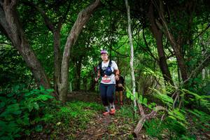 BIB: 
                            <button type="button" onclick="openModal(22043193)" class="btn btn-primary btn-sm float-right btn-popup" data-toggle="modal" data-target=".modal-high-quality">
                        <i class="fas fa-shopping-cart"></i> Add to Cart
                    </button>
                                            <button type="button" onclick="isThisMe(22043193, true)" class="btn btn-success btn-sm float-right btn-popup btn-isme hidden" data-toggle="tooltip" data-placement="bottom" title="นี่คือรูปของคุณใช่ไหม คลิกที่นี่เพื่อเอาเข้าอัลบั้ม">
                        <i class="fas fa-plus"></i> Add to album
                    </button>
                    <button type="button" onclick="isThisMe(22043193, false)" class="btn btn-warning btn-sm float-right btn-popup btn-isnotme hidden">
                        <i class="fas fa-ban"></i> Remove from album
                    </button>