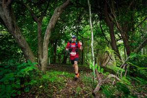 BIB: 
                            <button type="button" onclick="openModal(22042574)" class="btn btn-primary btn-sm float-right btn-popup" data-toggle="modal" data-target=".modal-high-quality">
                        <i class="fas fa-shopping-cart"></i> Add to Cart
                    </button>
                                            <button type="button" onclick="isThisMe(22042574, true)" class="btn btn-success btn-sm float-right btn-popup btn-isme hidden" data-toggle="tooltip" data-placement="bottom" title="นี่คือรูปของคุณใช่ไหม คลิกที่นี่เพื่อเอาเข้าอัลบั้ม">
                        <i class="fas fa-plus"></i> Add to album
                    </button>
                    <button type="button" onclick="isThisMe(22042574, false)" class="btn btn-warning btn-sm float-right btn-popup btn-isnotme hidden">
                        <i class="fas fa-ban"></i> Remove from album
                    </button>