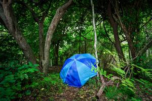 BIB: 
                            <button type="button" onclick="openModal(22043054)" class="btn btn-primary btn-sm float-right btn-popup" data-toggle="modal" data-target=".modal-high-quality">
                        <i class="fas fa-shopping-cart"></i> Add to Cart
                    </button>
                                            <button type="button" onclick="isThisMe(22043054, true)" class="btn btn-success btn-sm float-right btn-popup btn-isme hidden" data-toggle="tooltip" data-placement="bottom" title="นี่คือรูปของคุณใช่ไหม คลิกที่นี่เพื่อเอาเข้าอัลบั้ม">
                        <i class="fas fa-plus"></i> Add to album
                    </button>
                    <button type="button" onclick="isThisMe(22043054, false)" class="btn btn-warning btn-sm float-right btn-popup btn-isnotme hidden">
                        <i class="fas fa-ban"></i> Remove from album
                    </button>