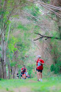 BIB: 
                            <button type="button" onclick="openModal(22019445)" class="btn btn-primary btn-sm float-right btn-popup" data-toggle="modal" data-target=".modal-high-quality">
                        <i class="fas fa-shopping-cart"></i> Add to Cart
                    </button>
                                            <button type="button" onclick="isThisMe(22019445, true)" class="btn btn-success btn-sm float-right btn-popup btn-isme hidden" data-toggle="tooltip" data-placement="bottom" title="นี่คือรูปของคุณใช่ไหม คลิกที่นี่เพื่อเอาเข้าอัลบั้ม">
                        <i class="fas fa-plus"></i> Add to album
                    </button>
                    <button type="button" onclick="isThisMe(22019445, false)" class="btn btn-warning btn-sm float-right btn-popup btn-isnotme hidden">
                        <i class="fas fa-ban"></i> Remove from album
                    </button>