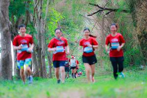 BIB: 
                            <button type="button" onclick="openModal(22009496)" class="btn btn-primary btn-sm float-right btn-popup" data-toggle="modal" data-target=".modal-high-quality">
                        <i class="fas fa-shopping-cart"></i> Add to Cart
                    </button>
                                            <button type="button" onclick="isThisMe(22009496, true)" class="btn btn-success btn-sm float-right btn-popup btn-isme hidden" data-toggle="tooltip" data-placement="bottom" title="นี่คือรูปของคุณใช่ไหม คลิกที่นี่เพื่อเอาเข้าอัลบั้ม">
                        <i class="fas fa-plus"></i> Add to album
                    </button>
                    <button type="button" onclick="isThisMe(22009496, false)" class="btn btn-warning btn-sm float-right btn-popup btn-isnotme hidden">
                        <i class="fas fa-ban"></i> Remove from album
                    </button>