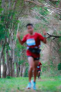 BIB: 
                            <button type="button" onclick="openModal(22027049)" class="btn btn-primary btn-sm float-right btn-popup" data-toggle="modal" data-target=".modal-high-quality">
                        <i class="fas fa-shopping-cart"></i> Add to Cart
                    </button>
                                            <button type="button" onclick="isThisMe(22027049, true)" class="btn btn-success btn-sm float-right btn-popup btn-isme hidden" data-toggle="tooltip" data-placement="bottom" title="นี่คือรูปของคุณใช่ไหม คลิกที่นี่เพื่อเอาเข้าอัลบั้ม">
                        <i class="fas fa-plus"></i> Add to album
                    </button>
                    <button type="button" onclick="isThisMe(22027049, false)" class="btn btn-warning btn-sm float-right btn-popup btn-isnotme hidden">
                        <i class="fas fa-ban"></i> Remove from album
                    </button>