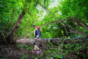 BIB: 
                            <button type="button" onclick="openModal(22007408)" class="btn btn-primary btn-sm float-right btn-popup" data-toggle="modal" data-target=".modal-high-quality">
                        <i class="fas fa-shopping-cart"></i> Add to Cart
                    </button>
                                            <button type="button" onclick="isThisMe(22007408, true)" class="btn btn-success btn-sm float-right btn-popup btn-isme hidden" data-toggle="tooltip" data-placement="bottom" title="นี่คือรูปของคุณใช่ไหม คลิกที่นี่เพื่อเอาเข้าอัลบั้ม">
                        <i class="fas fa-plus"></i> Add to album
                    </button>
                    <button type="button" onclick="isThisMe(22007408, false)" class="btn btn-warning btn-sm float-right btn-popup btn-isnotme hidden">
                        <i class="fas fa-ban"></i> Remove from album
                    </button>