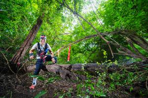 BIB: 
                            <button type="button" onclick="openModal(22007694)" class="btn btn-primary btn-sm float-right btn-popup" data-toggle="modal" data-target=".modal-high-quality">
                        <i class="fas fa-shopping-cart"></i> Add to Cart
                    </button>
                                            <button type="button" onclick="isThisMe(22007694, true)" class="btn btn-success btn-sm float-right btn-popup btn-isme hidden" data-toggle="tooltip" data-placement="bottom" title="นี่คือรูปของคุณใช่ไหม คลิกที่นี่เพื่อเอาเข้าอัลบั้ม">
                        <i class="fas fa-plus"></i> Add to album
                    </button>
                    <button type="button" onclick="isThisMe(22007694, false)" class="btn btn-warning btn-sm float-right btn-popup btn-isnotme hidden">
                        <i class="fas fa-ban"></i> Remove from album
                    </button>