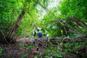 BIB: 
                            <button type="button" onclick="openModal(22007999)" class="btn btn-primary btn-sm float-right btn-popup" data-toggle="modal" data-target=".modal-high-quality">
                        <i class="fas fa-shopping-cart"></i> Add to Cart
                    </button>
                                            <button type="button" onclick="isThisMe(22007999, true)" class="btn btn-success btn-sm float-right btn-popup btn-isme hidden" data-toggle="tooltip" data-placement="bottom" title="นี่คือรูปของคุณใช่ไหม คลิกที่นี่เพื่อเอาเข้าอัลบั้ม">
                        <i class="fas fa-plus"></i> Add to album
                    </button>
                    <button type="button" onclick="isThisMe(22007999, false)" class="btn btn-warning btn-sm float-right btn-popup btn-isnotme hidden">
                        <i class="fas fa-ban"></i> Remove from album
                    </button>