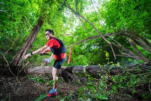 BIB: 
                            <button type="button" onclick="openModal(22007622)" class="btn btn-primary btn-sm float-right btn-popup" data-toggle="modal" data-target=".modal-high-quality">
                        <i class="fas fa-shopping-cart"></i> Add to Cart
                    </button>
                                            <button type="button" onclick="isThisMe(22007622, true)" class="btn btn-success btn-sm float-right btn-popup btn-isme hidden" data-toggle="tooltip" data-placement="bottom" title="นี่คือรูปของคุณใช่ไหม คลิกที่นี่เพื่อเอาเข้าอัลบั้ม">
                        <i class="fas fa-plus"></i> Add to album
                    </button>
                    <button type="button" onclick="isThisMe(22007622, false)" class="btn btn-warning btn-sm float-right btn-popup btn-isnotme hidden">
                        <i class="fas fa-ban"></i> Remove from album
                    </button>