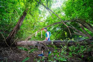 BIB: 
                            <button type="button" onclick="openModal(22007914)" class="btn btn-primary btn-sm float-right btn-popup" data-toggle="modal" data-target=".modal-high-quality">
                        <i class="fas fa-shopping-cart"></i> Add to Cart
                    </button>
                                            <button type="button" onclick="isThisMe(22007914, true)" class="btn btn-success btn-sm float-right btn-popup btn-isme hidden" data-toggle="tooltip" data-placement="bottom" title="นี่คือรูปของคุณใช่ไหม คลิกที่นี่เพื่อเอาเข้าอัลบั้ม">
                        <i class="fas fa-plus"></i> Add to album
                    </button>
                    <button type="button" onclick="isThisMe(22007914, false)" class="btn btn-warning btn-sm float-right btn-popup btn-isnotme hidden">
                        <i class="fas fa-ban"></i> Remove from album
                    </button>