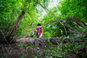 BIB: 
                            <button type="button" onclick="openModal(22007755)" class="btn btn-primary btn-sm float-right btn-popup" data-toggle="modal" data-target=".modal-high-quality">
                        <i class="fas fa-shopping-cart"></i> Add to Cart
                    </button>
                                            <button type="button" onclick="isThisMe(22007755, true)" class="btn btn-success btn-sm float-right btn-popup btn-isme hidden" data-toggle="tooltip" data-placement="bottom" title="นี่คือรูปของคุณใช่ไหม คลิกที่นี่เพื่อเอาเข้าอัลบั้ม">
                        <i class="fas fa-plus"></i> Add to album
                    </button>
                    <button type="button" onclick="isThisMe(22007755, false)" class="btn btn-warning btn-sm float-right btn-popup btn-isnotme hidden">
                        <i class="fas fa-ban"></i> Remove from album
                    </button>