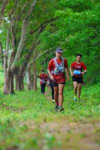 BIB: 
                            <button type="button" onclick="openModal(22048860)" class="btn btn-primary btn-sm float-right btn-popup" data-toggle="modal" data-target=".modal-high-quality">
                        <i class="fas fa-shopping-cart"></i> Add to Cart
                    </button>
                                            <button type="button" onclick="isThisMe(22048860, true)" class="btn btn-success btn-sm float-right btn-popup btn-isme hidden" data-toggle="tooltip" data-placement="bottom" title="นี่คือรูปของคุณใช่ไหม คลิกที่นี่เพื่อเอาเข้าอัลบั้ม">
                        <i class="fas fa-plus"></i> Add to album
                    </button>
                    <button type="button" onclick="isThisMe(22048860, false)" class="btn btn-warning btn-sm float-right btn-popup btn-isnotme hidden">
                        <i class="fas fa-ban"></i> Remove from album
                    </button>