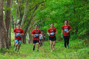 BIB: 
                            <button type="button" onclick="openModal(22048799)" class="btn btn-primary btn-sm float-right btn-popup" data-toggle="modal" data-target=".modal-high-quality">
                        <i class="fas fa-shopping-cart"></i> Add to Cart
                    </button>
                                            <button type="button" onclick="isThisMe(22048799, true)" class="btn btn-success btn-sm float-right btn-popup btn-isme hidden" data-toggle="tooltip" data-placement="bottom" title="นี่คือรูปของคุณใช่ไหม คลิกที่นี่เพื่อเอาเข้าอัลบั้ม">
                        <i class="fas fa-plus"></i> Add to album
                    </button>
                    <button type="button" onclick="isThisMe(22048799, false)" class="btn btn-warning btn-sm float-right btn-popup btn-isnotme hidden">
                        <i class="fas fa-ban"></i> Remove from album
                    </button>