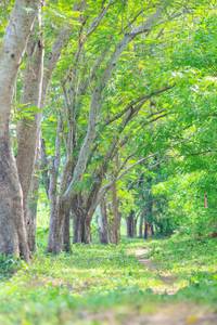 BIB: 
                            <button type="button" onclick="openModal(22049352)" class="btn btn-primary btn-sm float-right btn-popup" data-toggle="modal" data-target=".modal-high-quality">
                        <i class="fas fa-shopping-cart"></i> Add to Cart
                    </button>
                                            <button type="button" onclick="isThisMe(22049352, true)" class="btn btn-success btn-sm float-right btn-popup btn-isme hidden" data-toggle="tooltip" data-placement="bottom" title="นี่คือรูปของคุณใช่ไหม คลิกที่นี่เพื่อเอาเข้าอัลบั้ม">
                        <i class="fas fa-plus"></i> Add to album
                    </button>
                    <button type="button" onclick="isThisMe(22049352, false)" class="btn btn-warning btn-sm float-right btn-popup btn-isnotme hidden">
                        <i class="fas fa-ban"></i> Remove from album
                    </button>