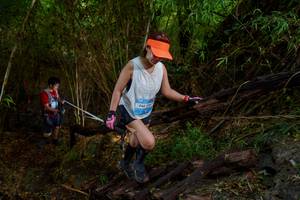 BIB: 
                            <button type="button" onclick="openModal(22025002)" class="btn btn-primary btn-sm float-right btn-popup" data-toggle="modal" data-target=".modal-high-quality">
                        <i class="fas fa-shopping-cart"></i> Add to Cart
                    </button>
                                            <button type="button" onclick="isThisMe(22025002, true)" class="btn btn-success btn-sm float-right btn-popup btn-isme hidden" data-toggle="tooltip" data-placement="bottom" title="นี่คือรูปของคุณใช่ไหม คลิกที่นี่เพื่อเอาเข้าอัลบั้ม">
                        <i class="fas fa-plus"></i> Add to album
                    </button>
                    <button type="button" onclick="isThisMe(22025002, false)" class="btn btn-warning btn-sm float-right btn-popup btn-isnotme hidden">
                        <i class="fas fa-ban"></i> Remove from album
                    </button>