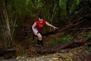 BIB: 
                            <button type="button" onclick="openModal(22022692)" class="btn btn-primary btn-sm float-right btn-popup" data-toggle="modal" data-target=".modal-high-quality">
                        <i class="fas fa-shopping-cart"></i> Add to Cart
                    </button>
                                            <button type="button" onclick="isThisMe(22022692, true)" class="btn btn-success btn-sm float-right btn-popup btn-isme hidden" data-toggle="tooltip" data-placement="bottom" title="นี่คือรูปของคุณใช่ไหม คลิกที่นี่เพื่อเอาเข้าอัลบั้ม">
                        <i class="fas fa-plus"></i> Add to album
                    </button>
                    <button type="button" onclick="isThisMe(22022692, false)" class="btn btn-warning btn-sm float-right btn-popup btn-isnotme hidden">
                        <i class="fas fa-ban"></i> Remove from album
                    </button>