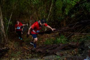 BIB: 
                            <button type="button" onclick="openModal(22024175)" class="btn btn-primary btn-sm float-right btn-popup" data-toggle="modal" data-target=".modal-high-quality">
                        <i class="fas fa-shopping-cart"></i> Add to Cart
                    </button>
                                            <button type="button" onclick="isThisMe(22024175, true)" class="btn btn-success btn-sm float-right btn-popup btn-isme hidden" data-toggle="tooltip" data-placement="bottom" title="นี่คือรูปของคุณใช่ไหม คลิกที่นี่เพื่อเอาเข้าอัลบั้ม">
                        <i class="fas fa-plus"></i> Add to album
                    </button>
                    <button type="button" onclick="isThisMe(22024175, false)" class="btn btn-warning btn-sm float-right btn-popup btn-isnotme hidden">
                        <i class="fas fa-ban"></i> Remove from album
                    </button>