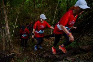 BIB: 
                            <button type="button" onclick="openModal(22024941)" class="btn btn-primary btn-sm float-right btn-popup" data-toggle="modal" data-target=".modal-high-quality">
                        <i class="fas fa-shopping-cart"></i> Add to Cart
                    </button>
                                            <button type="button" onclick="isThisMe(22024941, true)" class="btn btn-success btn-sm float-right btn-popup btn-isme hidden" data-toggle="tooltip" data-placement="bottom" title="นี่คือรูปของคุณใช่ไหม คลิกที่นี่เพื่อเอาเข้าอัลบั้ม">
                        <i class="fas fa-plus"></i> Add to album
                    </button>
                    <button type="button" onclick="isThisMe(22024941, false)" class="btn btn-warning btn-sm float-right btn-popup btn-isnotme hidden">
                        <i class="fas fa-ban"></i> Remove from album
                    </button>