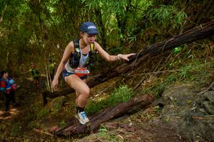 BIB: 2016
                            <button type="button" onclick="openModal(22025116)" class="btn btn-primary btn-sm float-right btn-popup" data-toggle="modal" data-target=".modal-high-quality">
                        <i class="fas fa-shopping-cart"></i> Add to Cart
                    </button>
                                            <button type="button" onclick="isThisMe(22025116, true)" class="btn btn-success btn-sm float-right btn-popup btn-isme hidden" data-toggle="tooltip" data-placement="bottom" title="นี่คือรูปของคุณใช่ไหม คลิกที่นี่เพื่อเอาเข้าอัลบั้ม">
                        <i class="fas fa-plus"></i> Add to album
                    </button>
                    <button type="button" onclick="isThisMe(22025116, false)" class="btn btn-warning btn-sm float-right btn-popup btn-isnotme hidden">
                        <i class="fas fa-ban"></i> Remove from album
                    </button>