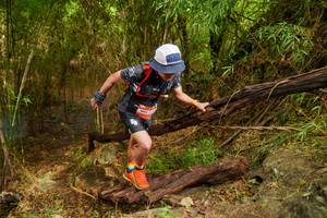 BIB: 
                            <button type="button" onclick="openModal(22025318)" class="btn btn-primary btn-sm float-right btn-popup" data-toggle="modal" data-target=".modal-high-quality">
                        <i class="fas fa-shopping-cart"></i> Add to Cart
                    </button>
                                            <button type="button" onclick="isThisMe(22025318, true)" class="btn btn-success btn-sm float-right btn-popup btn-isme hidden" data-toggle="tooltip" data-placement="bottom" title="นี่คือรูปของคุณใช่ไหม คลิกที่นี่เพื่อเอาเข้าอัลบั้ม">
                        <i class="fas fa-plus"></i> Add to album
                    </button>
                    <button type="button" onclick="isThisMe(22025318, false)" class="btn btn-warning btn-sm float-right btn-popup btn-isnotme hidden">
                        <i class="fas fa-ban"></i> Remove from album
                    </button>