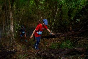 BIB: 
                            <button type="button" onclick="openModal(22024495)" class="btn btn-primary btn-sm float-right btn-popup" data-toggle="modal" data-target=".modal-high-quality">
                        <i class="fas fa-shopping-cart"></i> Add to Cart
                    </button>
                                            <button type="button" onclick="isThisMe(22024495, true)" class="btn btn-success btn-sm float-right btn-popup btn-isme hidden" data-toggle="tooltip" data-placement="bottom" title="นี่คือรูปของคุณใช่ไหม คลิกที่นี่เพื่อเอาเข้าอัลบั้ม">
                        <i class="fas fa-plus"></i> Add to album
                    </button>
                    <button type="button" onclick="isThisMe(22024495, false)" class="btn btn-warning btn-sm float-right btn-popup btn-isnotme hidden">
                        <i class="fas fa-ban"></i> Remove from album
                    </button>