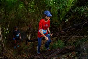 BIB: 
                            <button type="button" onclick="openModal(22024516)" class="btn btn-primary btn-sm float-right btn-popup" data-toggle="modal" data-target=".modal-high-quality">
                        <i class="fas fa-shopping-cart"></i> Add to Cart
                    </button>
                                            <button type="button" onclick="isThisMe(22024516, true)" class="btn btn-success btn-sm float-right btn-popup btn-isme hidden" data-toggle="tooltip" data-placement="bottom" title="นี่คือรูปของคุณใช่ไหม คลิกที่นี่เพื่อเอาเข้าอัลบั้ม">
                        <i class="fas fa-plus"></i> Add to album
                    </button>
                    <button type="button" onclick="isThisMe(22024516, false)" class="btn btn-warning btn-sm float-right btn-popup btn-isnotme hidden">
                        <i class="fas fa-ban"></i> Remove from album
                    </button>