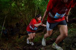 BIB: 
                            <button type="button" onclick="openModal(22024446)" class="btn btn-primary btn-sm float-right btn-popup" data-toggle="modal" data-target=".modal-high-quality">
                        <i class="fas fa-shopping-cart"></i> Add to Cart
                    </button>
                                            <button type="button" onclick="isThisMe(22024446, true)" class="btn btn-success btn-sm float-right btn-popup btn-isme hidden" data-toggle="tooltip" data-placement="bottom" title="นี่คือรูปของคุณใช่ไหม คลิกที่นี่เพื่อเอาเข้าอัลบั้ม">
                        <i class="fas fa-plus"></i> Add to album
                    </button>
                    <button type="button" onclick="isThisMe(22024446, false)" class="btn btn-warning btn-sm float-right btn-popup btn-isnotme hidden">
                        <i class="fas fa-ban"></i> Remove from album
                    </button>