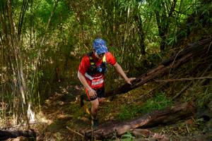 BIB: 
                            <button type="button" onclick="openModal(22025222)" class="btn btn-primary btn-sm float-right btn-popup" data-toggle="modal" data-target=".modal-high-quality">
                        <i class="fas fa-shopping-cart"></i> Add to Cart
                    </button>
                                            <button type="button" onclick="isThisMe(22025222, true)" class="btn btn-success btn-sm float-right btn-popup btn-isme hidden" data-toggle="tooltip" data-placement="bottom" title="นี่คือรูปของคุณใช่ไหม คลิกที่นี่เพื่อเอาเข้าอัลบั้ม">
                        <i class="fas fa-plus"></i> Add to album
                    </button>
                    <button type="button" onclick="isThisMe(22025222, false)" class="btn btn-warning btn-sm float-right btn-popup btn-isnotme hidden">
                        <i class="fas fa-ban"></i> Remove from album
                    </button>