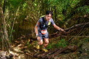 BIB: 
                            <button type="button" onclick="openModal(22025263)" class="btn btn-primary btn-sm float-right btn-popup" data-toggle="modal" data-target=".modal-high-quality">
                        <i class="fas fa-shopping-cart"></i> Add to Cart
                    </button>
                                            <button type="button" onclick="isThisMe(22025263, true)" class="btn btn-success btn-sm float-right btn-popup btn-isme hidden" data-toggle="tooltip" data-placement="bottom" title="นี่คือรูปของคุณใช่ไหม คลิกที่นี่เพื่อเอาเข้าอัลบั้ม">
                        <i class="fas fa-plus"></i> Add to album
                    </button>
                    <button type="button" onclick="isThisMe(22025263, false)" class="btn btn-warning btn-sm float-right btn-popup btn-isnotme hidden">
                        <i class="fas fa-ban"></i> Remove from album
                    </button>