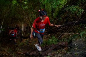 BIB: 
                            <button type="button" onclick="openModal(22024171)" class="btn btn-primary btn-sm float-right btn-popup" data-toggle="modal" data-target=".modal-high-quality">
                        <i class="fas fa-shopping-cart"></i> Add to Cart
                    </button>
                                            <button type="button" onclick="isThisMe(22024171, true)" class="btn btn-success btn-sm float-right btn-popup btn-isme hidden" data-toggle="tooltip" data-placement="bottom" title="นี่คือรูปของคุณใช่ไหม คลิกที่นี่เพื่อเอาเข้าอัลบั้ม">
                        <i class="fas fa-plus"></i> Add to album
                    </button>
                    <button type="button" onclick="isThisMe(22024171, false)" class="btn btn-warning btn-sm float-right btn-popup btn-isnotme hidden">
                        <i class="fas fa-ban"></i> Remove from album
                    </button>