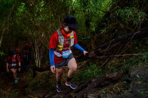 BIB: 2430, 150
                            <button type="button" onclick="openModal(22024951)" class="btn btn-primary btn-sm float-right btn-popup" data-toggle="modal" data-target=".modal-high-quality">
                        <i class="fas fa-shopping-cart"></i> Add to Cart
                    </button>
                                            <button type="button" onclick="isThisMe(22024951, true)" class="btn btn-success btn-sm float-right btn-popup btn-isme hidden" data-toggle="tooltip" data-placement="bottom" title="นี่คือรูปของคุณใช่ไหม คลิกที่นี่เพื่อเอาเข้าอัลบั้ม">
                        <i class="fas fa-plus"></i> Add to album
                    </button>
                    <button type="button" onclick="isThisMe(22024951, false)" class="btn btn-warning btn-sm float-right btn-popup btn-isnotme hidden">
                        <i class="fas fa-ban"></i> Remove from album
                    </button>