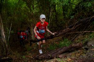 BIB: 
                            <button type="button" onclick="openModal(22019780)" class="btn btn-primary btn-sm float-right btn-popup" data-toggle="modal" data-target=".modal-high-quality">
                        <i class="fas fa-shopping-cart"></i> Add to Cart
                    </button>
                                            <button type="button" onclick="isThisMe(22019780, true)" class="btn btn-success btn-sm float-right btn-popup btn-isme hidden" data-toggle="tooltip" data-placement="bottom" title="นี่คือรูปของคุณใช่ไหม คลิกที่นี่เพื่อเอาเข้าอัลบั้ม">
                        <i class="fas fa-plus"></i> Add to album
                    </button>
                    <button type="button" onclick="isThisMe(22019780, false)" class="btn btn-warning btn-sm float-right btn-popup btn-isnotme hidden">
                        <i class="fas fa-ban"></i> Remove from album
                    </button>