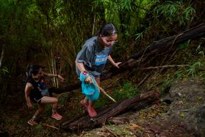 BIB: 
                            <button type="button" onclick="openModal(22022391)" class="btn btn-primary btn-sm float-right btn-popup" data-toggle="modal" data-target=".modal-high-quality">
                        <i class="fas fa-shopping-cart"></i> Add to Cart
                    </button>
                                            <button type="button" onclick="isThisMe(22022391, true)" class="btn btn-success btn-sm float-right btn-popup btn-isme hidden" data-toggle="tooltip" data-placement="bottom" title="นี่คือรูปของคุณใช่ไหม คลิกที่นี่เพื่อเอาเข้าอัลบั้ม">
                        <i class="fas fa-plus"></i> Add to album
                    </button>
                    <button type="button" onclick="isThisMe(22022391, false)" class="btn btn-warning btn-sm float-right btn-popup btn-isnotme hidden">
                        <i class="fas fa-ban"></i> Remove from album
                    </button>