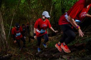 BIB: 
                            <button type="button" onclick="openModal(22024944)" class="btn btn-primary btn-sm float-right btn-popup" data-toggle="modal" data-target=".modal-high-quality">
                        <i class="fas fa-shopping-cart"></i> Add to Cart
                    </button>
                                            <button type="button" onclick="isThisMe(22024944, true)" class="btn btn-success btn-sm float-right btn-popup btn-isme hidden" data-toggle="tooltip" data-placement="bottom" title="นี่คือรูปของคุณใช่ไหม คลิกที่นี่เพื่อเอาเข้าอัลบั้ม">
                        <i class="fas fa-plus"></i> Add to album
                    </button>
                    <button type="button" onclick="isThisMe(22024944, false)" class="btn btn-warning btn-sm float-right btn-popup btn-isnotme hidden">
                        <i class="fas fa-ban"></i> Remove from album
                    </button>