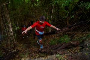 BIB: 
                            <button type="button" onclick="openModal(22023755)" class="btn btn-primary btn-sm float-right btn-popup" data-toggle="modal" data-target=".modal-high-quality">
                        <i class="fas fa-shopping-cart"></i> Add to Cart
                    </button>
                                            <button type="button" onclick="isThisMe(22023755, true)" class="btn btn-success btn-sm float-right btn-popup btn-isme hidden" data-toggle="tooltip" data-placement="bottom" title="นี่คือรูปของคุณใช่ไหม คลิกที่นี่เพื่อเอาเข้าอัลบั้ม">
                        <i class="fas fa-plus"></i> Add to album
                    </button>
                    <button type="button" onclick="isThisMe(22023755, false)" class="btn btn-warning btn-sm float-right btn-popup btn-isnotme hidden">
                        <i class="fas fa-ban"></i> Remove from album
                    </button>