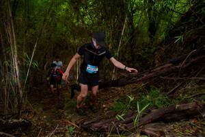 BIB: 
                            <button type="button" onclick="openModal(22019408)" class="btn btn-primary btn-sm float-right btn-popup" data-toggle="modal" data-target=".modal-high-quality">
                        <i class="fas fa-shopping-cart"></i> Add to Cart
                    </button>
                                            <button type="button" onclick="isThisMe(22019408, true)" class="btn btn-success btn-sm float-right btn-popup btn-isme hidden" data-toggle="tooltip" data-placement="bottom" title="นี่คือรูปของคุณใช่ไหม คลิกที่นี่เพื่อเอาเข้าอัลบั้ม">
                        <i class="fas fa-plus"></i> Add to album
                    </button>
                    <button type="button" onclick="isThisMe(22019408, false)" class="btn btn-warning btn-sm float-right btn-popup btn-isnotme hidden">
                        <i class="fas fa-ban"></i> Remove from album
                    </button>