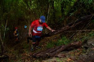 BIB: 125
                            <button type="button" onclick="openModal(22022537)" class="btn btn-primary btn-sm float-right btn-popup" data-toggle="modal" data-target=".modal-high-quality">
                        <i class="fas fa-shopping-cart"></i> Add to Cart
                    </button>
                                            <button type="button" onclick="isThisMe(22022537, true)" class="btn btn-success btn-sm float-right btn-popup btn-isme hidden" data-toggle="tooltip" data-placement="bottom" title="นี่คือรูปของคุณใช่ไหม คลิกที่นี่เพื่อเอาเข้าอัลบั้ม">
                        <i class="fas fa-plus"></i> Add to album
                    </button>
                    <button type="button" onclick="isThisMe(22022537, false)" class="btn btn-warning btn-sm float-right btn-popup btn-isnotme hidden">
                        <i class="fas fa-ban"></i> Remove from album
                    </button>