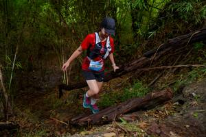 BIB: 1911
                            <button type="button" onclick="openModal(22022899)" class="btn btn-primary btn-sm float-right btn-popup" data-toggle="modal" data-target=".modal-high-quality">
                        <i class="fas fa-shopping-cart"></i> Add to Cart
                    </button>
                                            <button type="button" onclick="isThisMe(22022899, true)" class="btn btn-success btn-sm float-right btn-popup btn-isme hidden" data-toggle="tooltip" data-placement="bottom" title="นี่คือรูปของคุณใช่ไหม คลิกที่นี่เพื่อเอาเข้าอัลบั้ม">
                        <i class="fas fa-plus"></i> Add to album
                    </button>
                    <button type="button" onclick="isThisMe(22022899, false)" class="btn btn-warning btn-sm float-right btn-popup btn-isnotme hidden">
                        <i class="fas fa-ban"></i> Remove from album
                    </button>