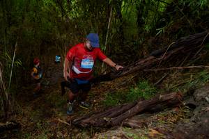 BIB: 400, 501251
                            <button type="button" onclick="openModal(22022529)" class="btn btn-primary btn-sm float-right btn-popup" data-toggle="modal" data-target=".modal-high-quality">
                        <i class="fas fa-shopping-cart"></i> Add to Cart
                    </button>
                                            <button type="button" onclick="isThisMe(22022529, true)" class="btn btn-success btn-sm float-right btn-popup btn-isme hidden" data-toggle="tooltip" data-placement="bottom" title="นี่คือรูปของคุณใช่ไหม คลิกที่นี่เพื่อเอาเข้าอัลบั้ม">
                        <i class="fas fa-plus"></i> Add to album
                    </button>
                    <button type="button" onclick="isThisMe(22022529, false)" class="btn btn-warning btn-sm float-right btn-popup btn-isnotme hidden">
                        <i class="fas fa-ban"></i> Remove from album
                    </button>