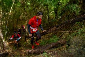 BIB: 
                            <button type="button" onclick="openModal(22025158)" class="btn btn-primary btn-sm float-right btn-popup" data-toggle="modal" data-target=".modal-high-quality">
                        <i class="fas fa-shopping-cart"></i> Add to Cart
                    </button>
                                            <button type="button" onclick="isThisMe(22025158, true)" class="btn btn-success btn-sm float-right btn-popup btn-isme hidden" data-toggle="tooltip" data-placement="bottom" title="นี่คือรูปของคุณใช่ไหม คลิกที่นี่เพื่อเอาเข้าอัลบั้ม">
                        <i class="fas fa-plus"></i> Add to album
                    </button>
                    <button type="button" onclick="isThisMe(22025158, false)" class="btn btn-warning btn-sm float-right btn-popup btn-isnotme hidden">
                        <i class="fas fa-ban"></i> Remove from album
                    </button>