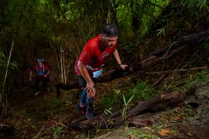 BIB: 
                            <button type="button" onclick="openModal(22019375)" class="btn btn-primary btn-sm float-right btn-popup" data-toggle="modal" data-target=".modal-high-quality">
                        <i class="fas fa-shopping-cart"></i> Add to Cart
                    </button>
                                            <button type="button" onclick="isThisMe(22019375, true)" class="btn btn-success btn-sm float-right btn-popup btn-isme hidden" data-toggle="tooltip" data-placement="bottom" title="นี่คือรูปของคุณใช่ไหม คลิกที่นี่เพื่อเอาเข้าอัลบั้ม">
                        <i class="fas fa-plus"></i> Add to album
                    </button>
                    <button type="button" onclick="isThisMe(22019375, false)" class="btn btn-warning btn-sm float-right btn-popup btn-isnotme hidden">
                        <i class="fas fa-ban"></i> Remove from album
                    </button>