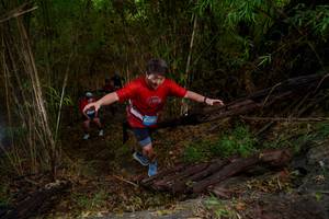 BIB: 
                            <button type="button" onclick="openModal(22023759)" class="btn btn-primary btn-sm float-right btn-popup" data-toggle="modal" data-target=".modal-high-quality">
                        <i class="fas fa-shopping-cart"></i> Add to Cart
                    </button>
                                            <button type="button" onclick="isThisMe(22023759, true)" class="btn btn-success btn-sm float-right btn-popup btn-isme hidden" data-toggle="tooltip" data-placement="bottom" title="นี่คือรูปของคุณใช่ไหม คลิกที่นี่เพื่อเอาเข้าอัลบั้ม">
                        <i class="fas fa-plus"></i> Add to album
                    </button>
                    <button type="button" onclick="isThisMe(22023759, false)" class="btn btn-warning btn-sm float-right btn-popup btn-isnotme hidden">
                        <i class="fas fa-ban"></i> Remove from album
                    </button>