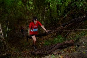 BIB: 
                            <button type="button" onclick="openModal(22023245)" class="btn btn-primary btn-sm float-right btn-popup" data-toggle="modal" data-target=".modal-high-quality">
                        <i class="fas fa-shopping-cart"></i> Add to Cart
                    </button>
                                            <button type="button" onclick="isThisMe(22023245, true)" class="btn btn-success btn-sm float-right btn-popup btn-isme hidden" data-toggle="tooltip" data-placement="bottom" title="นี่คือรูปของคุณใช่ไหม คลิกที่นี่เพื่อเอาเข้าอัลบั้ม">
                        <i class="fas fa-plus"></i> Add to album
                    </button>
                    <button type="button" onclick="isThisMe(22023245, false)" class="btn btn-warning btn-sm float-right btn-popup btn-isnotme hidden">
                        <i class="fas fa-ban"></i> Remove from album
                    </button>