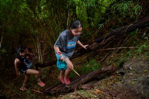 BIB: 
                            <button type="button" onclick="openModal(22022390)" class="btn btn-primary btn-sm float-right btn-popup" data-toggle="modal" data-target=".modal-high-quality">
                        <i class="fas fa-shopping-cart"></i> Add to Cart
                    </button>
                                            <button type="button" onclick="isThisMe(22022390, true)" class="btn btn-success btn-sm float-right btn-popup btn-isme hidden" data-toggle="tooltip" data-placement="bottom" title="นี่คือรูปของคุณใช่ไหม คลิกที่นี่เพื่อเอาเข้าอัลบั้ม">
                        <i class="fas fa-plus"></i> Add to album
                    </button>
                    <button type="button" onclick="isThisMe(22022390, false)" class="btn btn-warning btn-sm float-right btn-popup btn-isnotme hidden">
                        <i class="fas fa-ban"></i> Remove from album
                    </button>