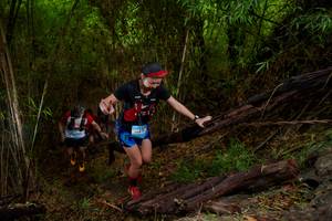 BIB: 
                            <button type="button" onclick="openModal(22019809)" class="btn btn-primary btn-sm float-right btn-popup" data-toggle="modal" data-target=".modal-high-quality">
                        <i class="fas fa-shopping-cart"></i> Add to Cart
                    </button>
                                            <button type="button" onclick="isThisMe(22019809, true)" class="btn btn-success btn-sm float-right btn-popup btn-isme hidden" data-toggle="tooltip" data-placement="bottom" title="นี่คือรูปของคุณใช่ไหม คลิกที่นี่เพื่อเอาเข้าอัลบั้ม">
                        <i class="fas fa-plus"></i> Add to album
                    </button>
                    <button type="button" onclick="isThisMe(22019809, false)" class="btn btn-warning btn-sm float-right btn-popup btn-isnotme hidden">
                        <i class="fas fa-ban"></i> Remove from album
                    </button>