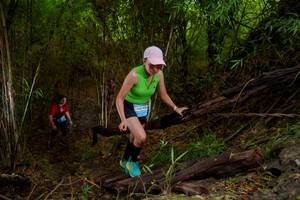 BIB: 4100
                            <button type="button" onclick="openModal(22019551)" class="btn btn-primary btn-sm float-right btn-popup" data-toggle="modal" data-target=".modal-high-quality">
                        <i class="fas fa-shopping-cart"></i> Add to Cart
                    </button>
                                            <button type="button" onclick="isThisMe(22019551, true)" class="btn btn-success btn-sm float-right btn-popup btn-isme hidden" data-toggle="tooltip" data-placement="bottom" title="นี่คือรูปของคุณใช่ไหม คลิกที่นี่เพื่อเอาเข้าอัลบั้ม">
                        <i class="fas fa-plus"></i> Add to album
                    </button>
                    <button type="button" onclick="isThisMe(22019551, false)" class="btn btn-warning btn-sm float-right btn-popup btn-isnotme hidden">
                        <i class="fas fa-ban"></i> Remove from album
                    </button>